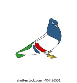 Pigeon Serbian highflyer