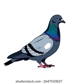 Pombo no perfil lateral - ilustração vetor corpo inteiro no fundo branco, ilustração vetor 2D