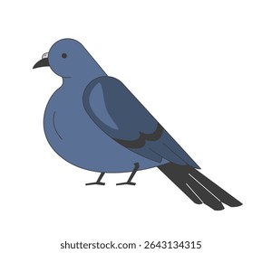 Pigeon side view 2D cartoon character. Domestic rooftop bird feathered wings. Avian mascot. Winged creature Columba. Urban wildlife flat vector animal isolated on white. Spot illustration colorful