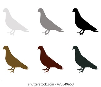Pigeon silhouette