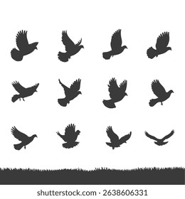 Pigeon Silhouette bundle vector design.