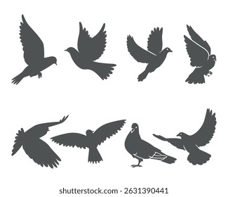 Pigeon silhouette, flying dove silhouette vector