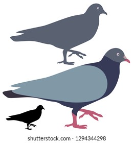 Pigeon Silhouette isolated