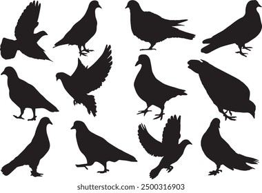 Pigeon silhouette isolated on white background Vector illustration.