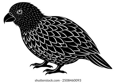 pigeon silhouette isolated on white, blue and yellow macaw