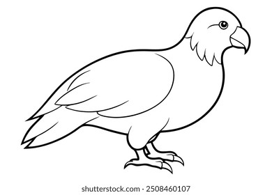 pigeon silhouette isolated on white, blue and yellow macaw