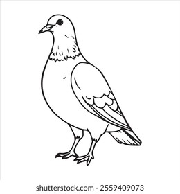  Pigeon silhouette line art illustration.