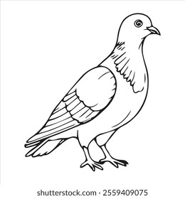  Pigeon silhouette line art illustration.