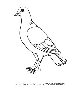  Pigeon silhouette line art illustration.