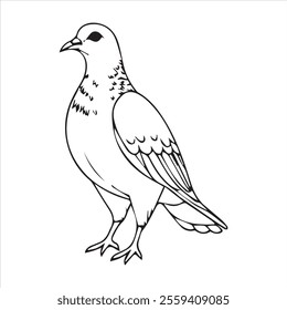  Pigeon silhouette line art illustration.