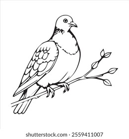 Pigeon silhouette line art illustration. 