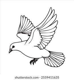  Pigeon silhouette line art illustration.
