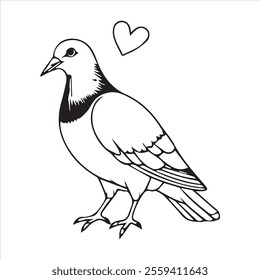  Pigeon silhouette line art illustration.
