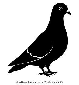 Pigeon silhouette on a white-background vector