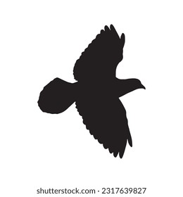 pigeon silhouette set collection isolated black on white background vector illustration