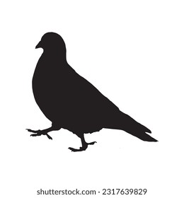 pigeon silhouette set collection isolated black on white background vector illustration