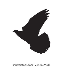 pigeon silhouette set collection isolated black on white background vector illustration