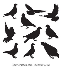  pigeon silhouette set collection isolated black on white background vector illustration