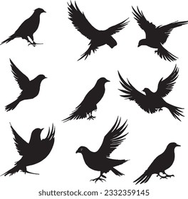 Pigeon silhouette set in white background