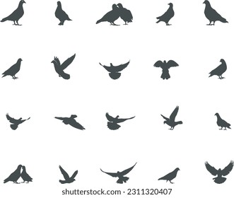 Pigeon silhouette, Pigeon SVG, Pigeon vector illustration, Pigeon bird silhouette.