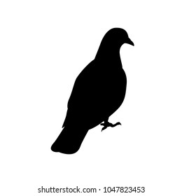 Pigeon silhouette vector