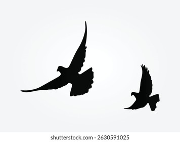 pigeon silhouette vector art design, illustration