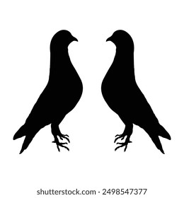 pigeon silhouette vector design in black on a white background