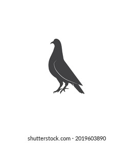 Pigeon silhouette vector icon illustration design