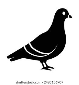 Pigeon Silhouette vector illustration black and white