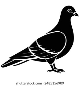 Pigeon Silhouette vector illustration black and white