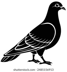 Pigeon Silhouette vector illustration black and white