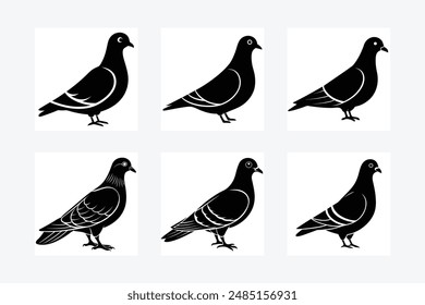 Pigeon Silhouette vector illustration black and white