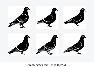 Pigeon Silhouette vector illustration black and white