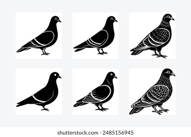 Pigeon Silhouette vector illustration black and white