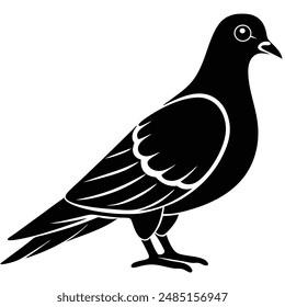 Pigeon Silhouette vector illustration black and white