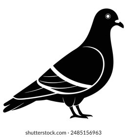 Pigeon Silhouette vector illustration black and white