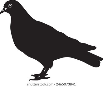 Pigeon Silhouette Vector Illustration White Background