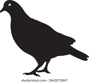 Pigeon Silhouette Vector Illustration White Background