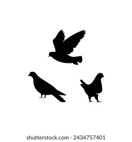 pigeon silhouette vector logo design