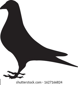 Pigeon silhouette vector on white background