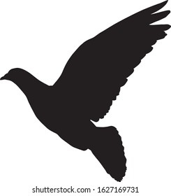 Pigeon silhouette vector on white background