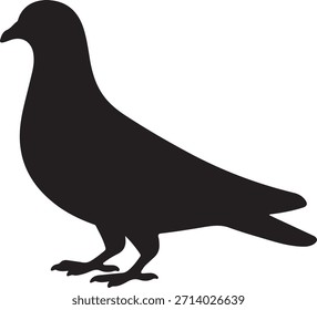 Ilustración simple del icono del pájaro de pie del Vector de la silueta de la paloma en el fondo blanco
