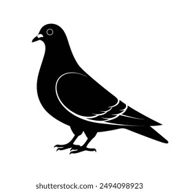 a pigeon silhouette , white background.