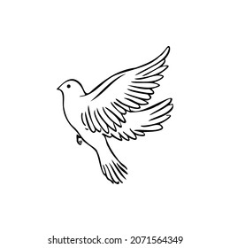 Pigeon sketch vector illustration on a transparent background