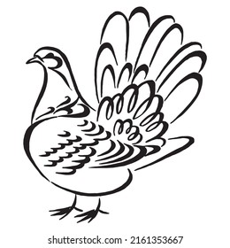 Pigeon with spread tail. Linear drawing. Fantail pigeon minimalist black linear design. Vector illustration. Calligraphy image.