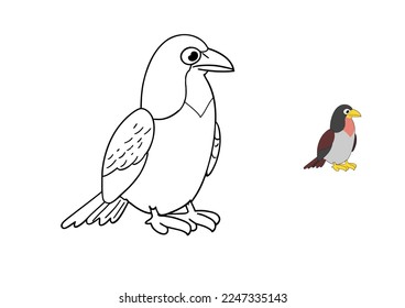 Pigeon stands and looks at you. Coloring page.  Illustration for coloring book. Cartoon vector.