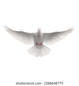 pigeon with style hand drawn digital painting illustration