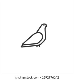 Pigeon Symbol Logo. Vector Illustration.