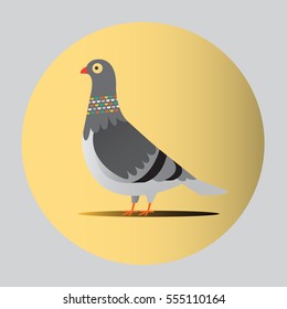 Pigeon Vector
