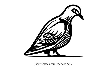 Pigeon vector black line illustration isolated white. Sketch art
